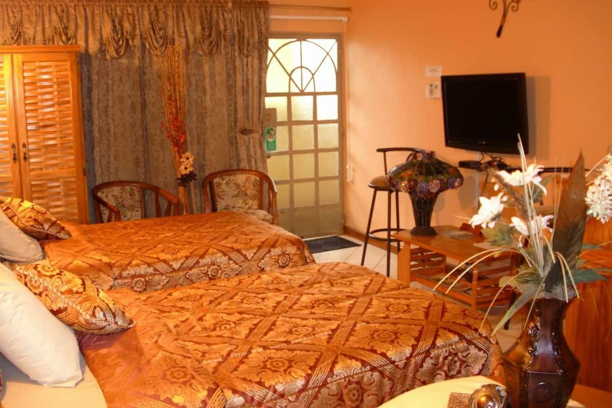 Deluxe Twin Room, 2 Twin Beds, Kitchenette | Premium bedding, down comforters, pillowtop beds, free minibar