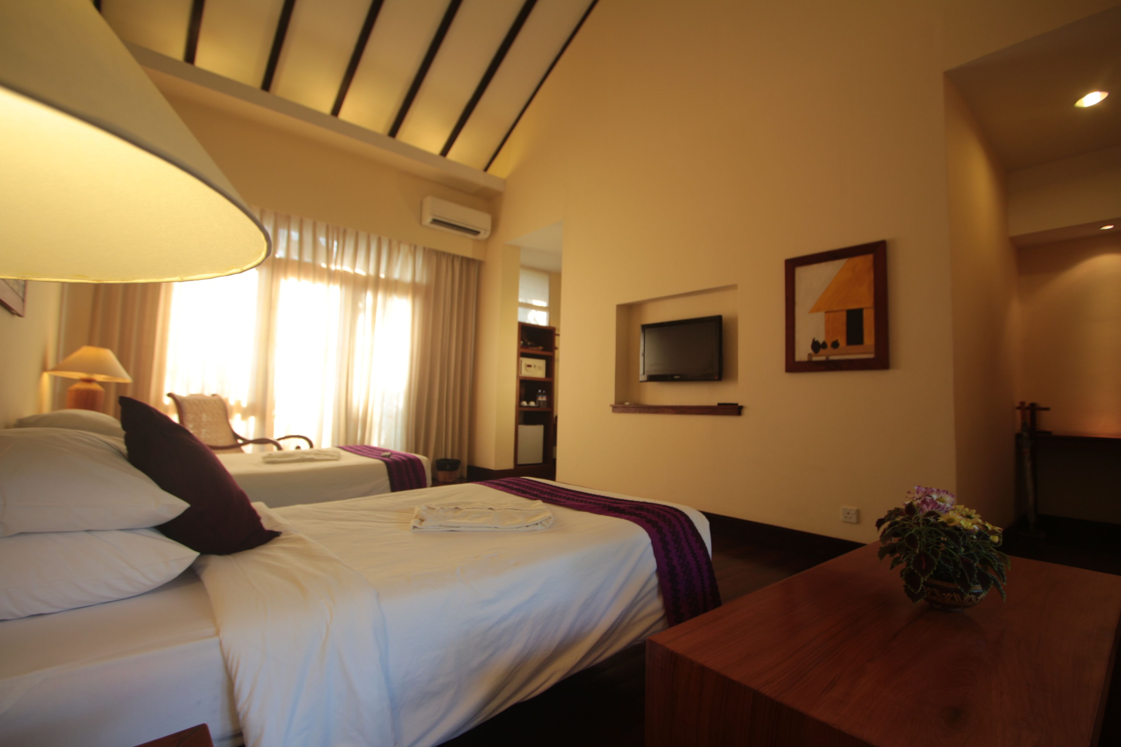 A hotel room with a bed, bedside table, lamp, TV, and a small table with a plant.