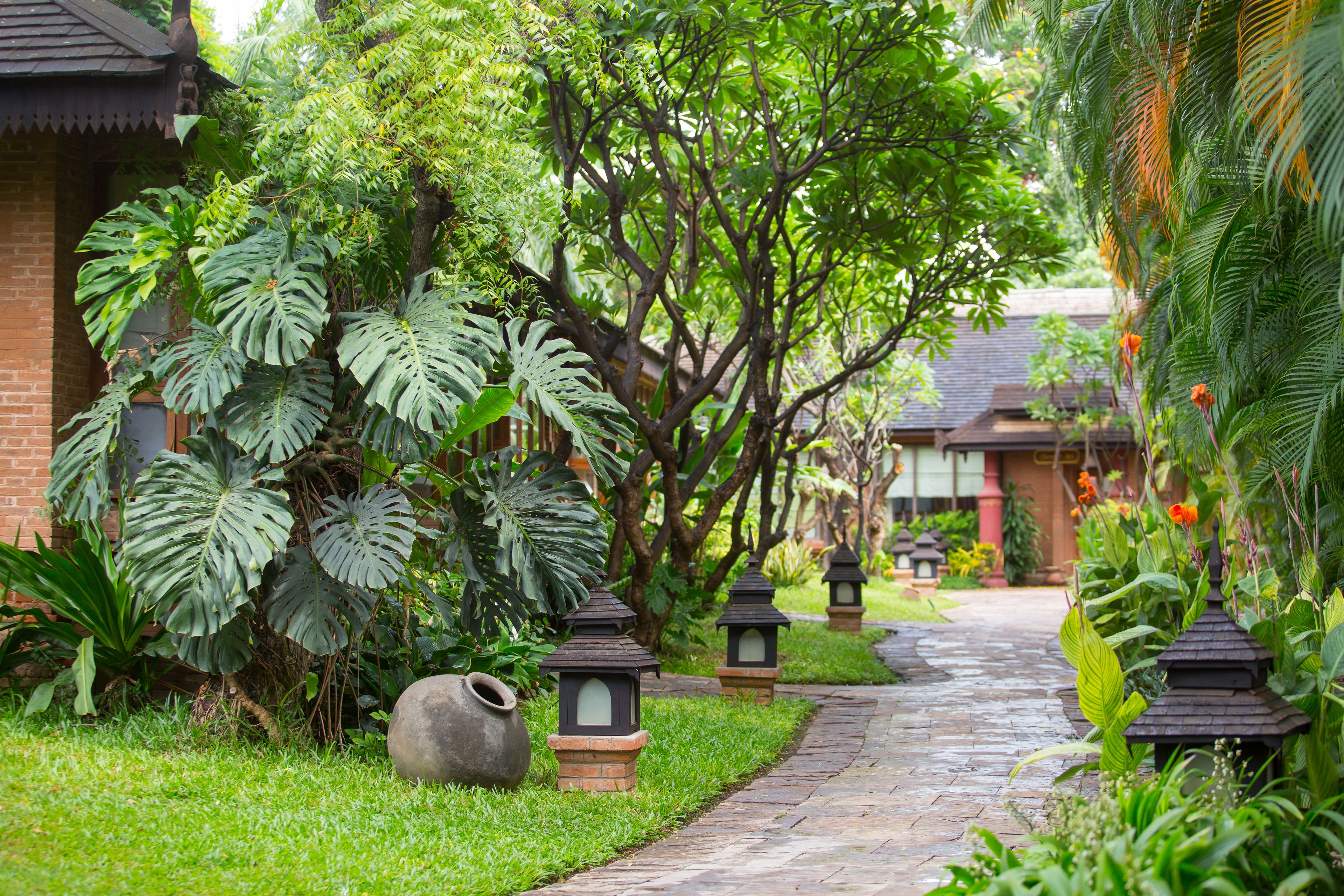 deluxe room | garden view
