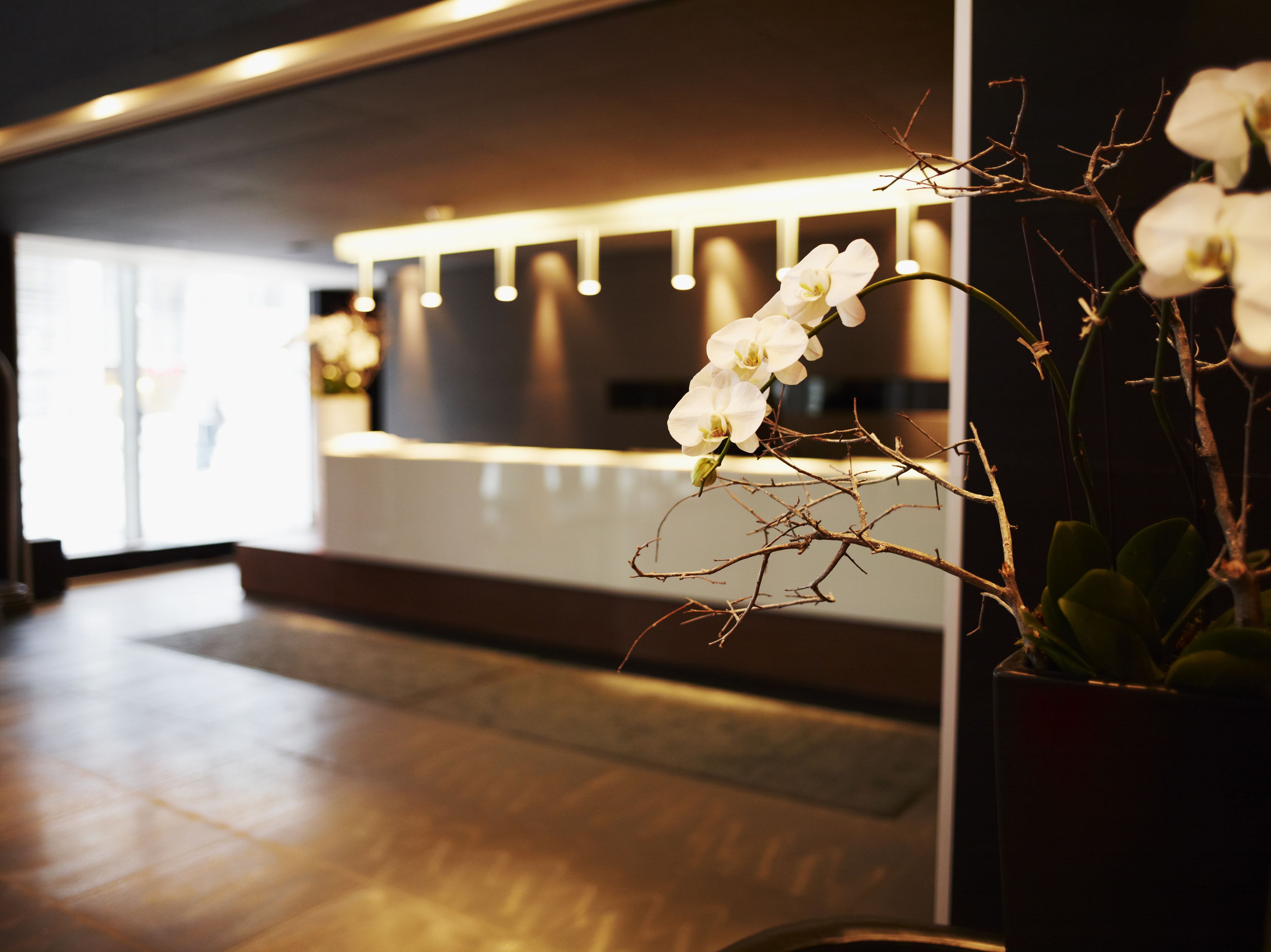 Foto - Le Germain Hotel Maple Leaf Square