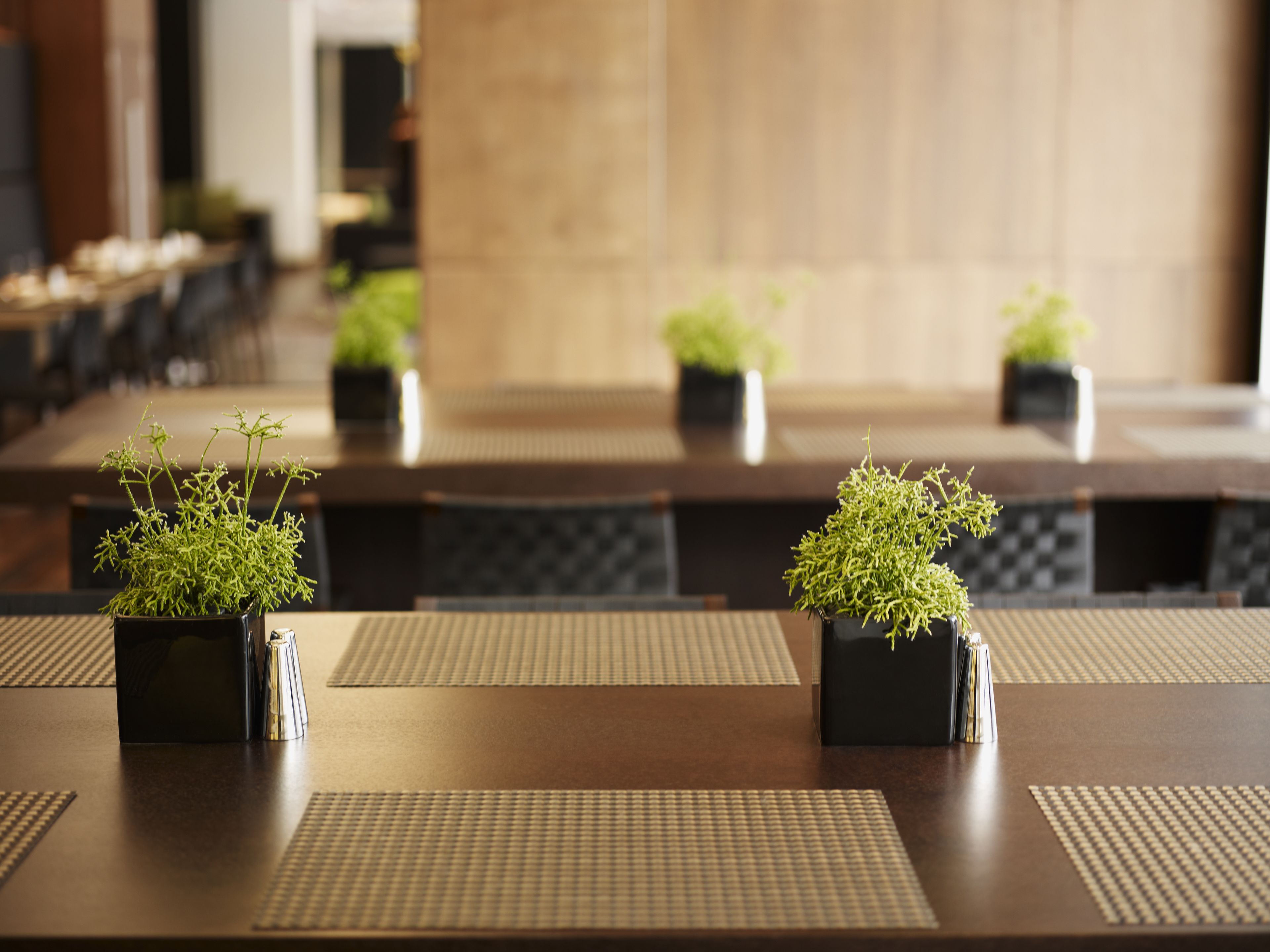 Breakfast, lunch, dinner served; local and international cuisine 