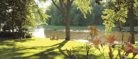 A serene lakeside setting with trees and a grassy area.