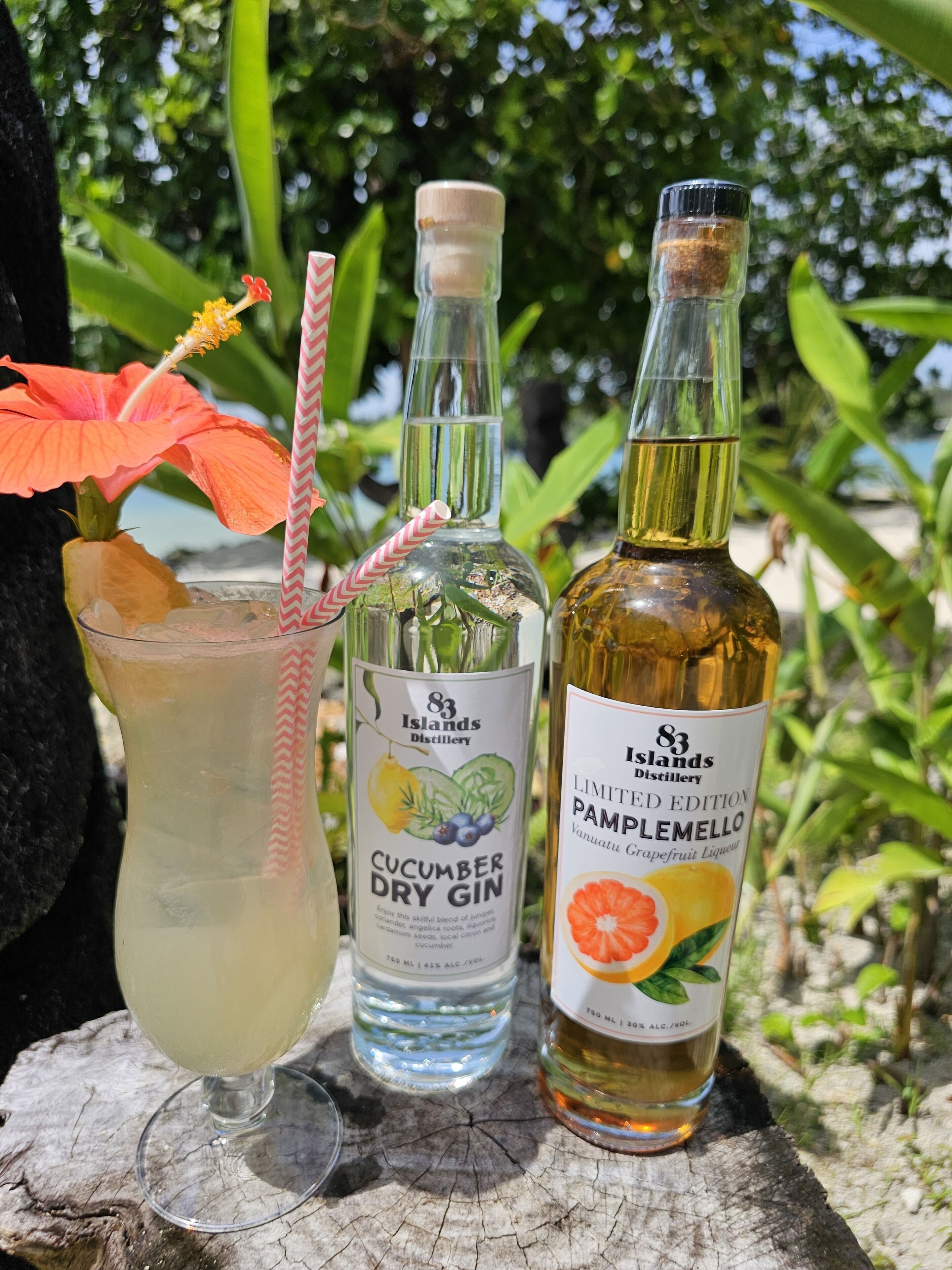 A glass with a straw, a bottle of cucumber dry gin, and a bottle of pamplemello liqueur on a wooden surface.