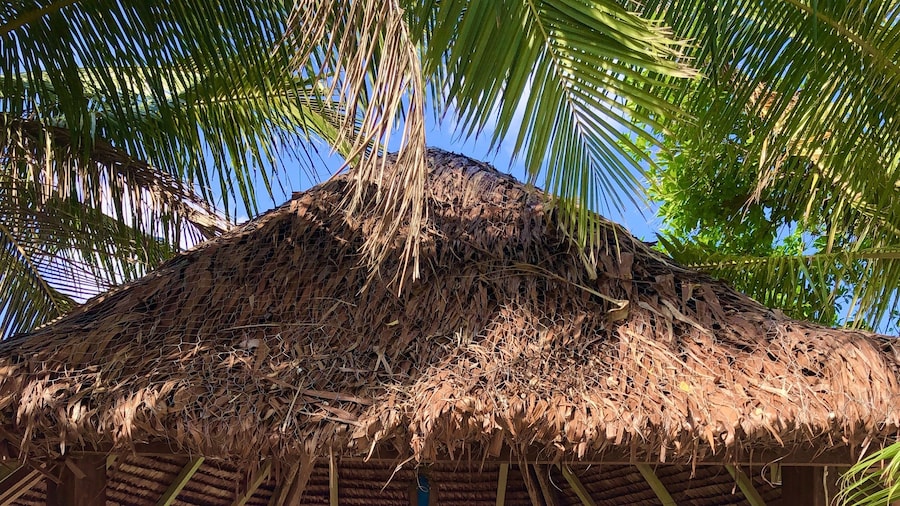 Turtle Bay Lodge