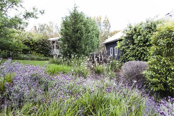 A garden with lavender and other plants, a wooden fence, and a house with a dark roof. - Bells at Killcare Boutique Hotel, Restaurant & Spa (Killcare Heights)