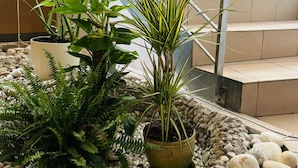 Una escalera con barandillas de metal y peldaños color beige, rodeada de plantas en macetas y un camino de grava.