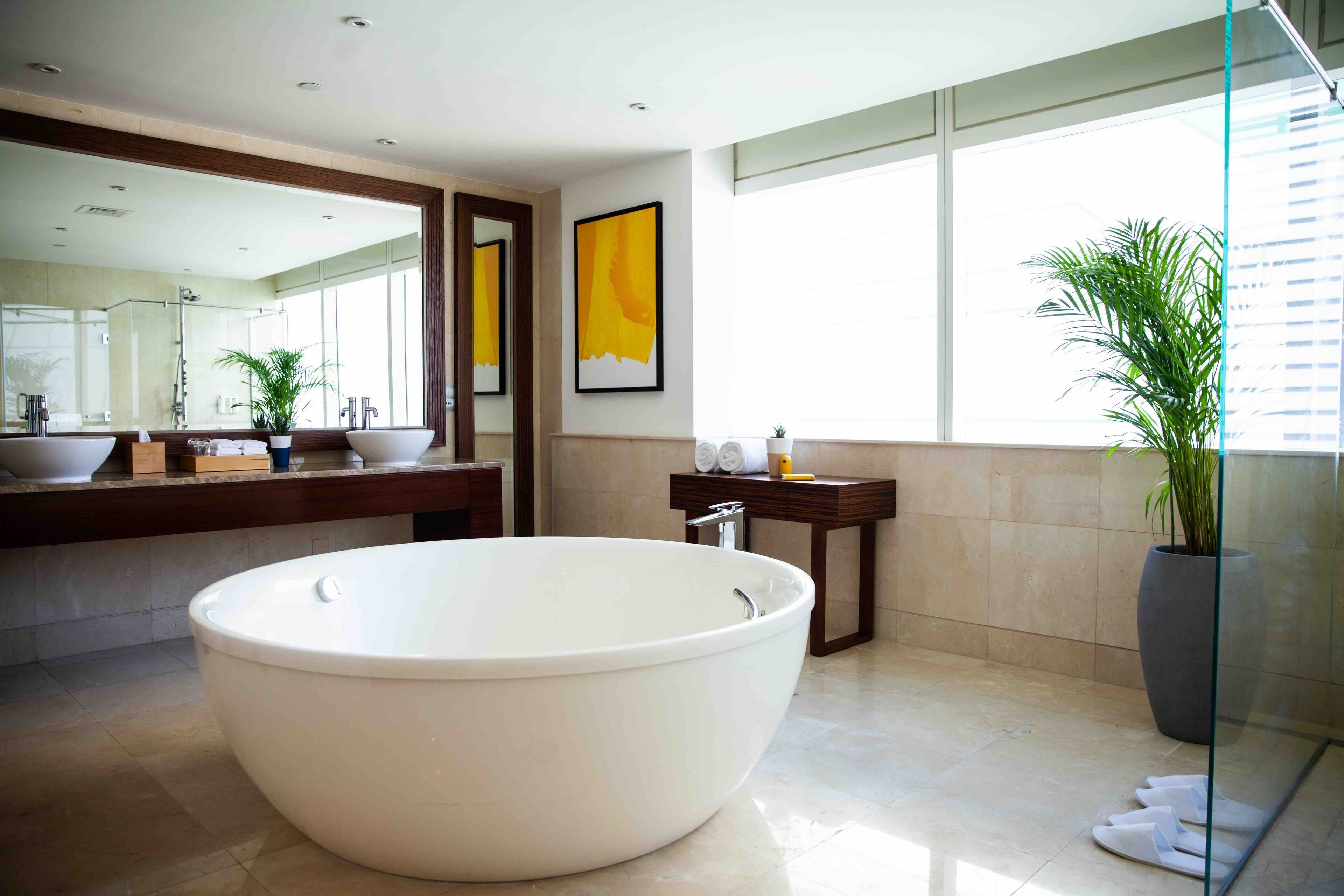 Une salle de bain moderne avec une grande baignoire, un miroir, un lavabo et une plante en pot.