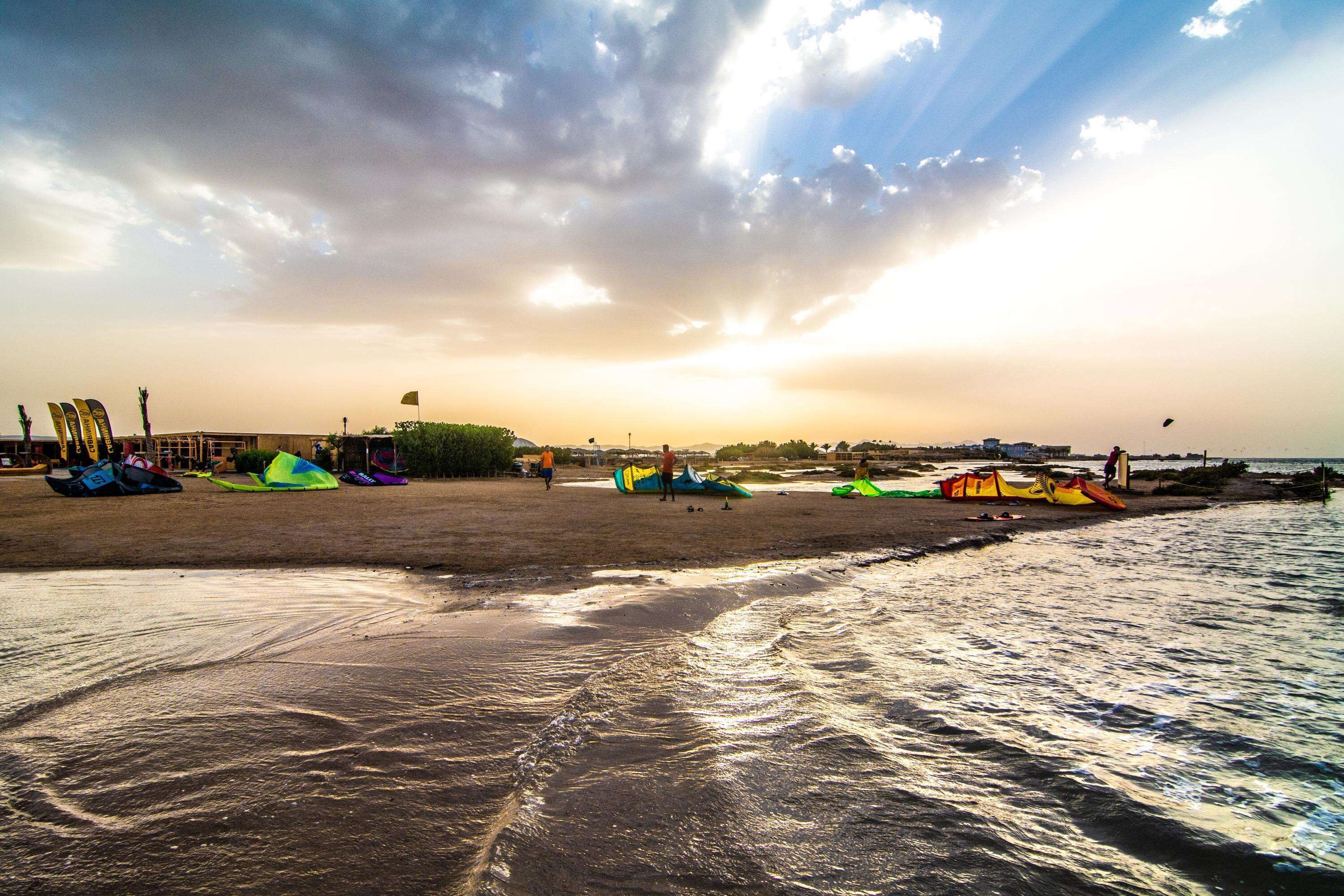 Surf/bodyboard