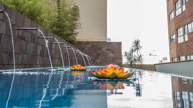 Una piscina con nenúfares y una cascada.