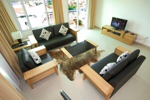 Televisión LCD, libros