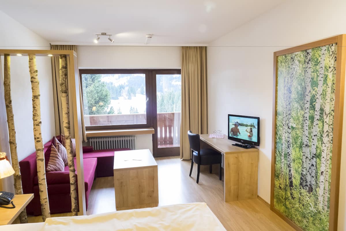 Basic Double Room, 1 Bedroom, Balcony, Mountain View | 2 bedrooms, hypo-allergenic bedding, in-room safe, free WiFi