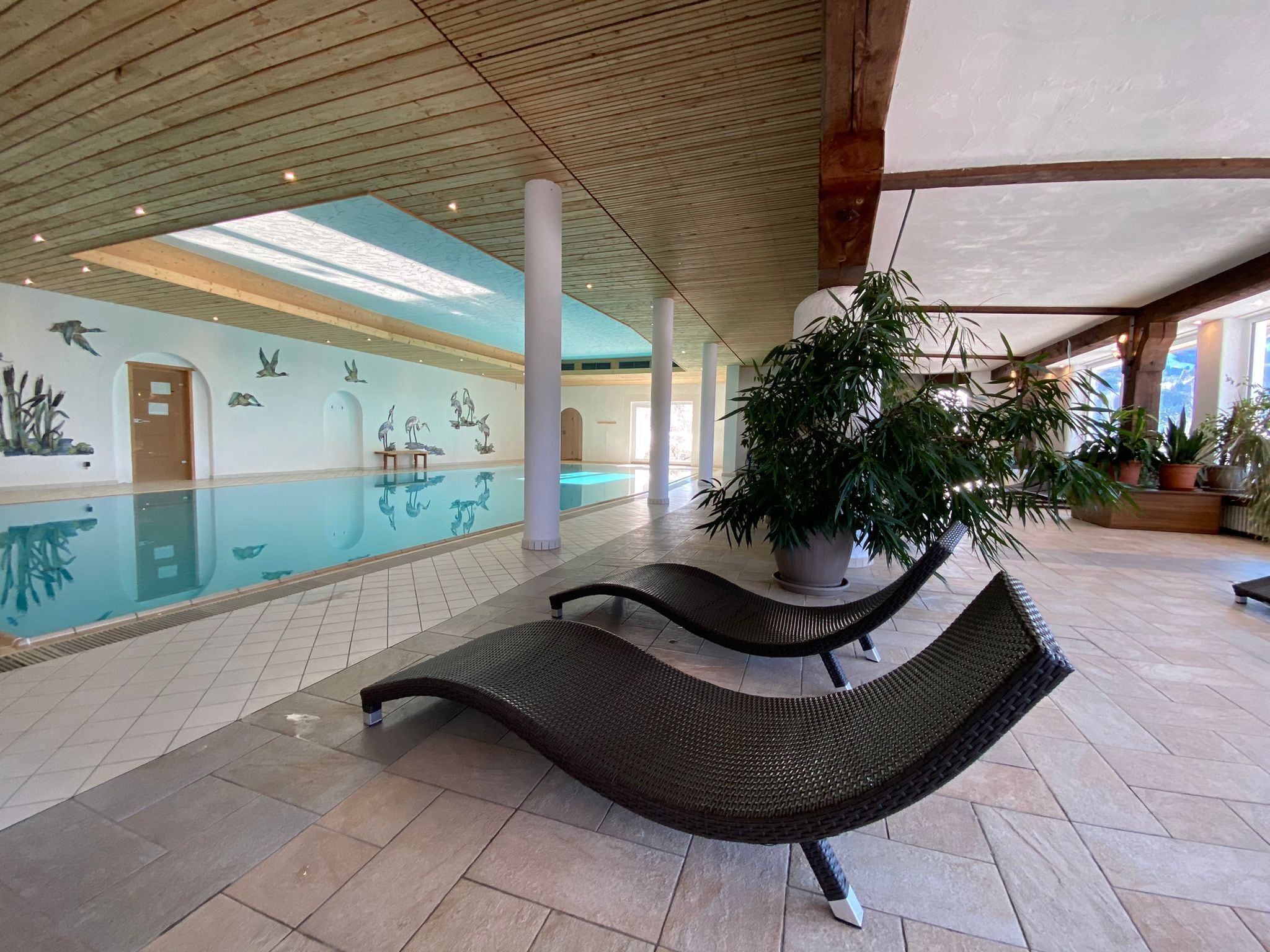 Piscina de natación o entrenamiento