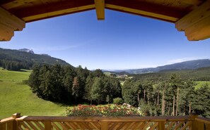 View from room - Chalet Tianes (Castelrotto)