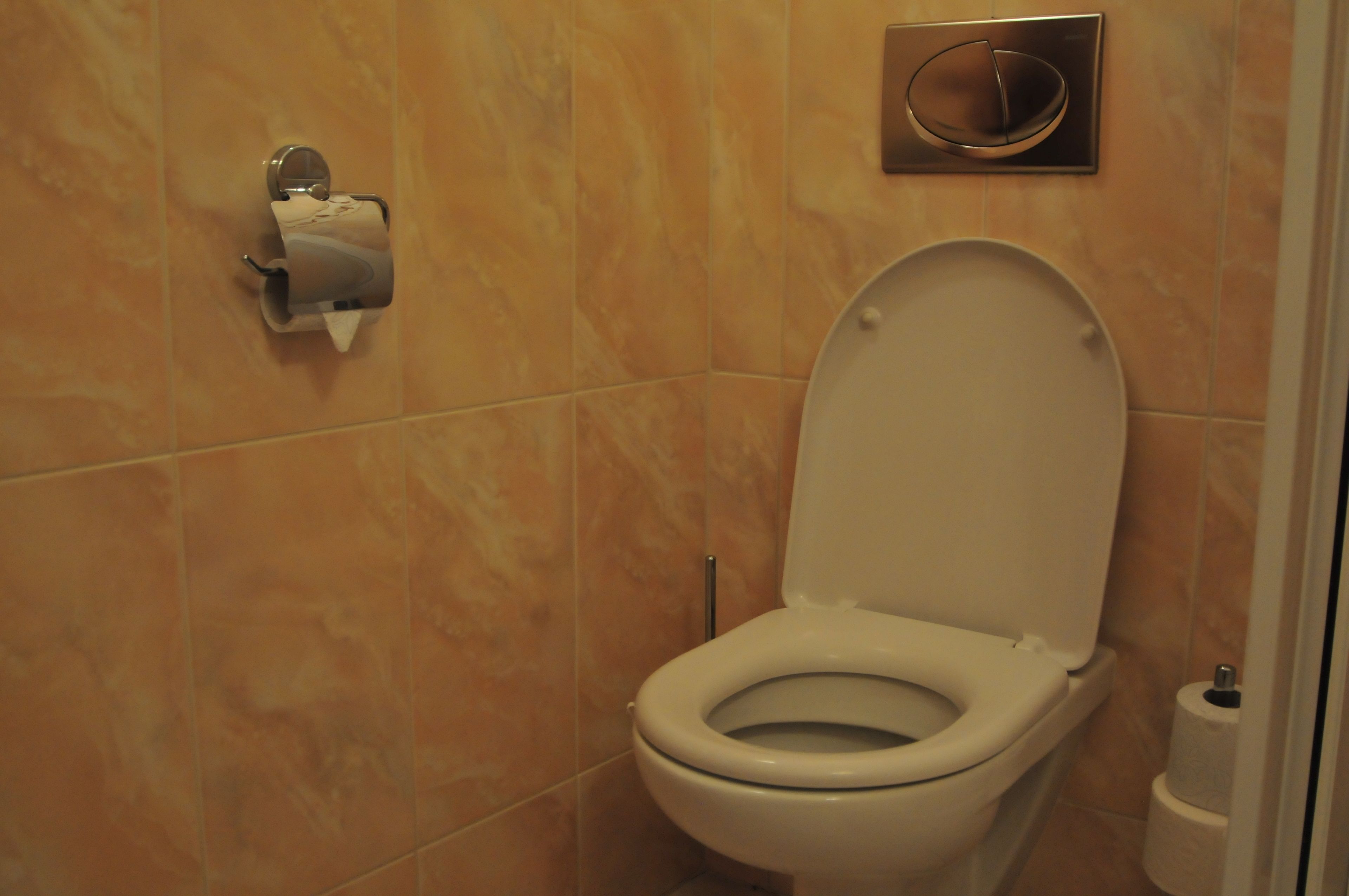 Foto - Hotel Pegas Brno