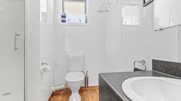A modern bathroom with a shower, toilet, and bathtub.