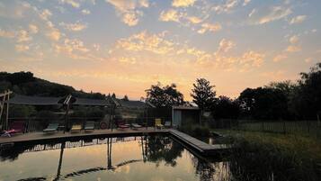 Udendørs pool, parasoller, liggestole