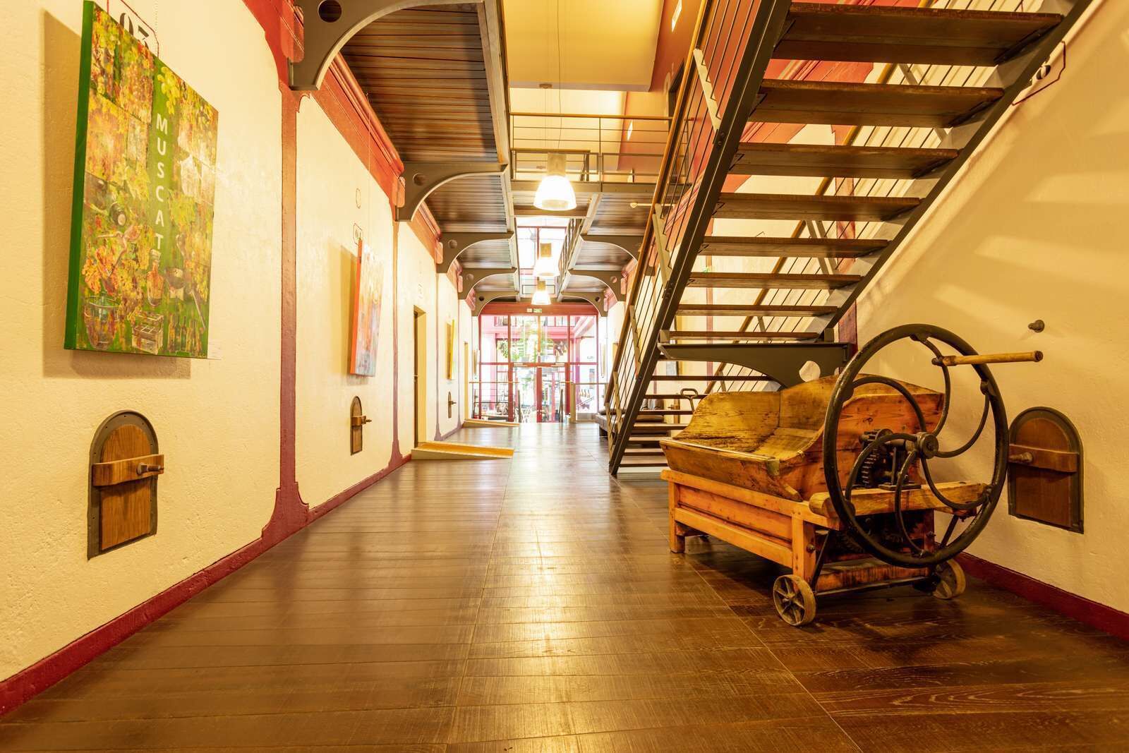 handrails in hallways