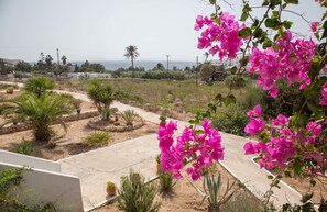 A residential area with a paved road, various plants, and a view of the sea.