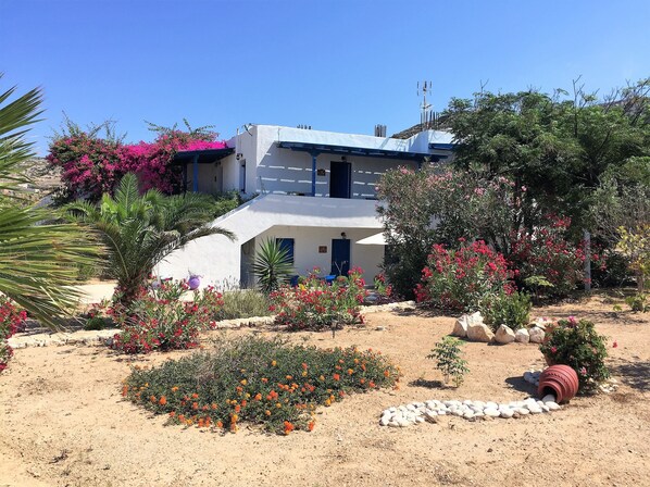 Garden - Firoa Studios (Naxos)