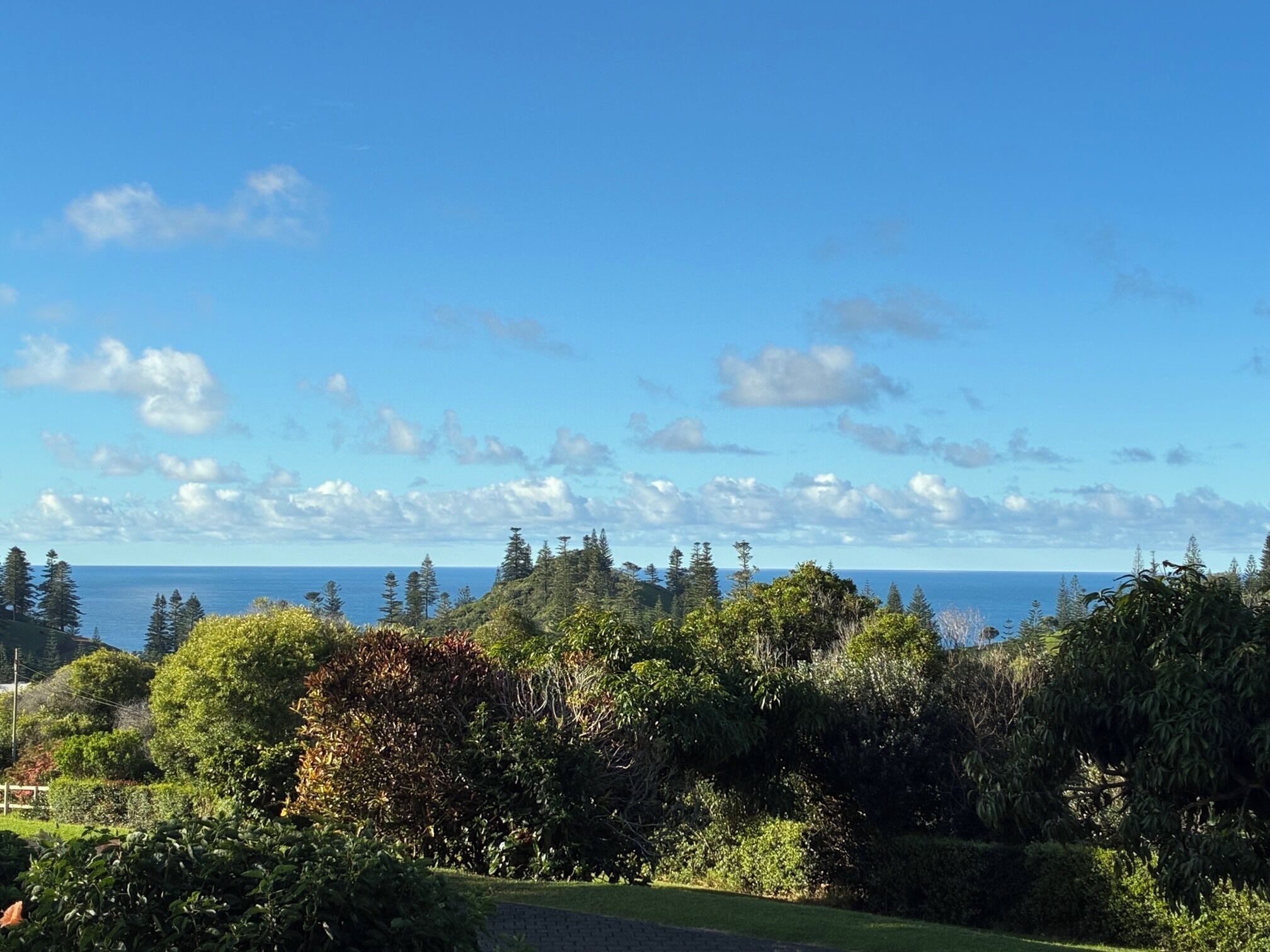 A view of a coastal landscape with dense greenery and a clear sky.