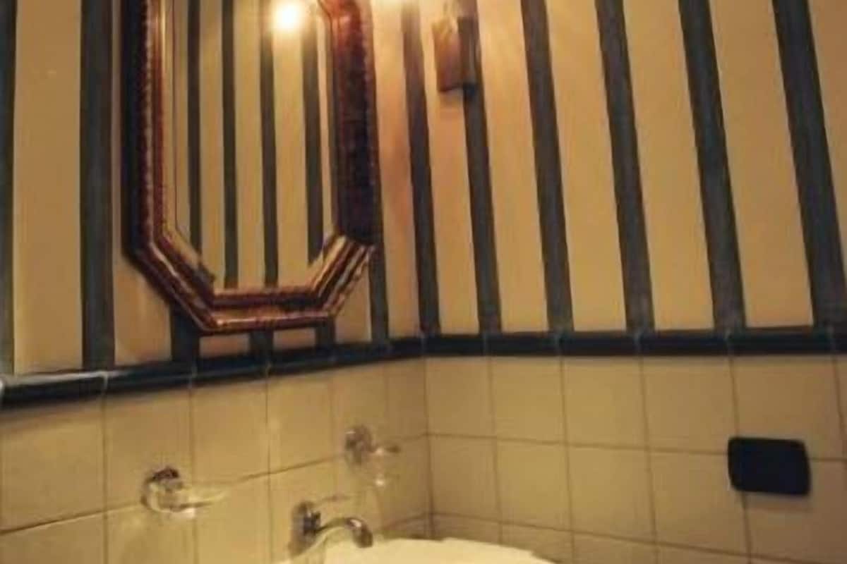 shower, free toiletries, hair dryer, bidet