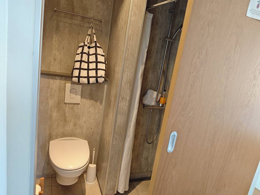 Een kleine badkamer met toilet, douche en handdoekhouder.