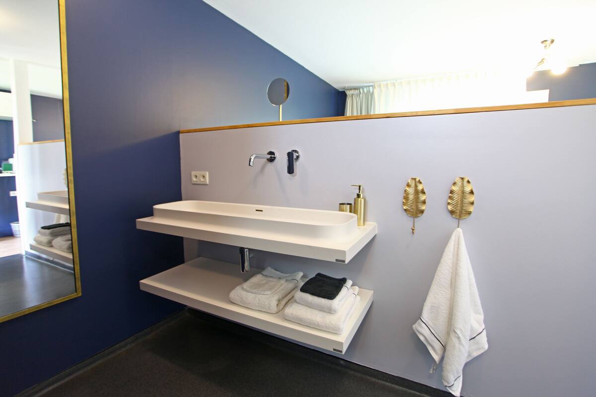 single room | bathroom | shower, rainfall showerhead, eco-friendly toiletries, hair dryer