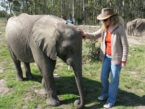 Point of interest - Pumula Lodge Guesthouse Knysna (Knysna)