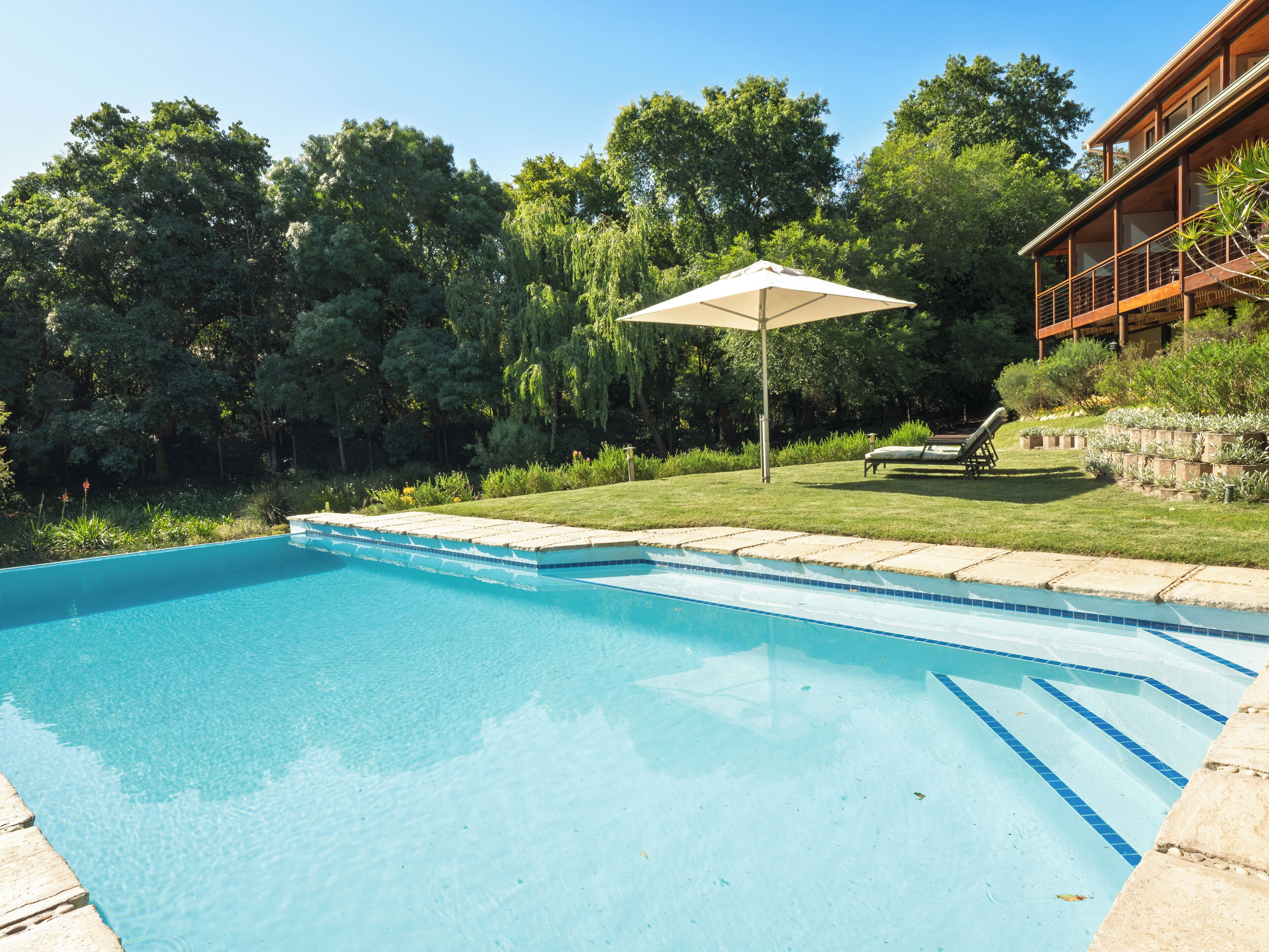 Outdoor pool, pool loungers
