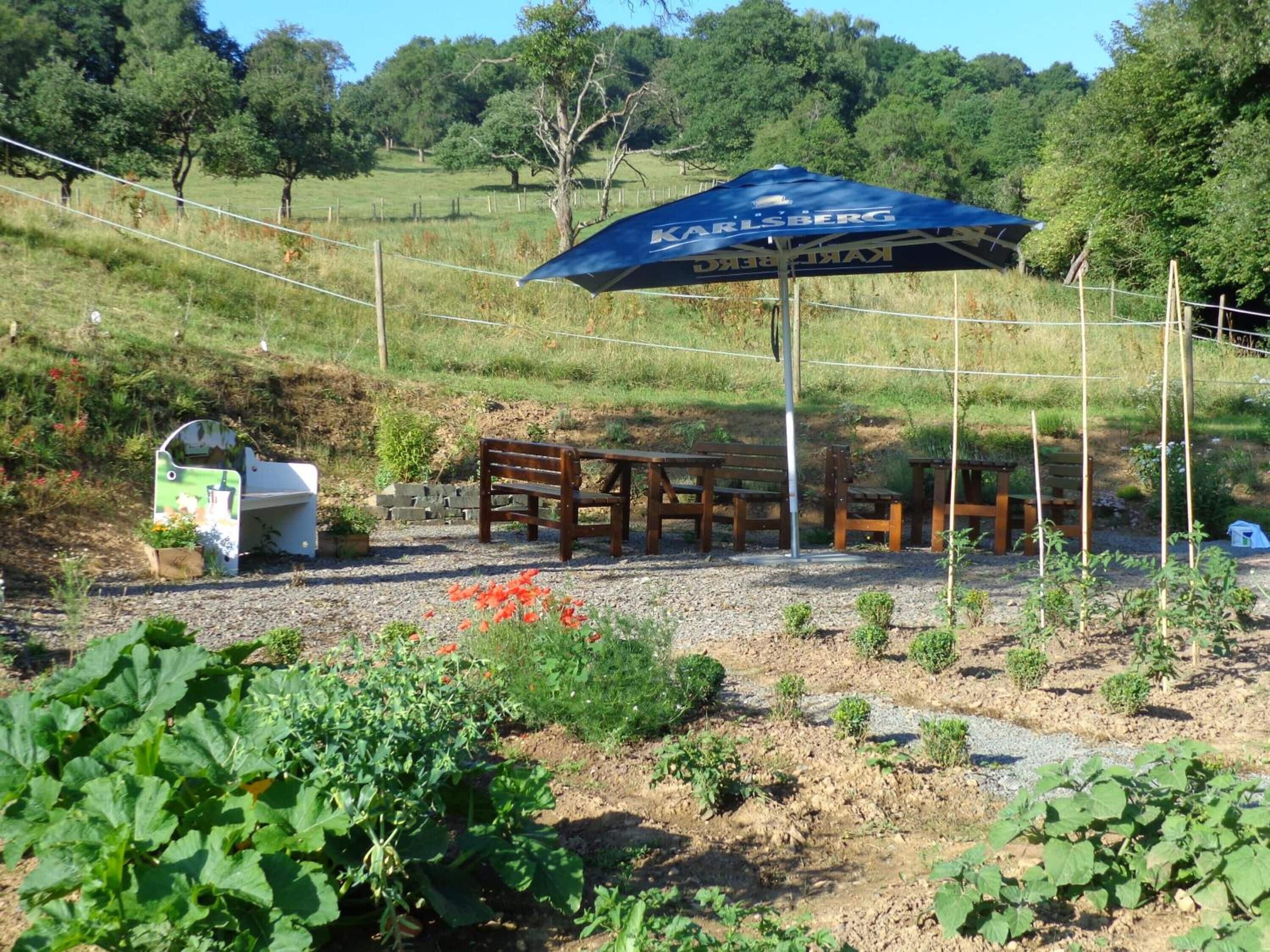 A garden area with a blue umbrella, wooden benches, and a small table.