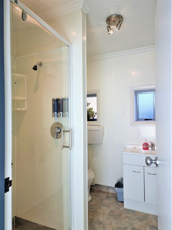 A modern bathroom with a glass shower enclosure, a toilet, a sink with a mirror, and a small window above the sink. - Alpine Motel (Wanaka)