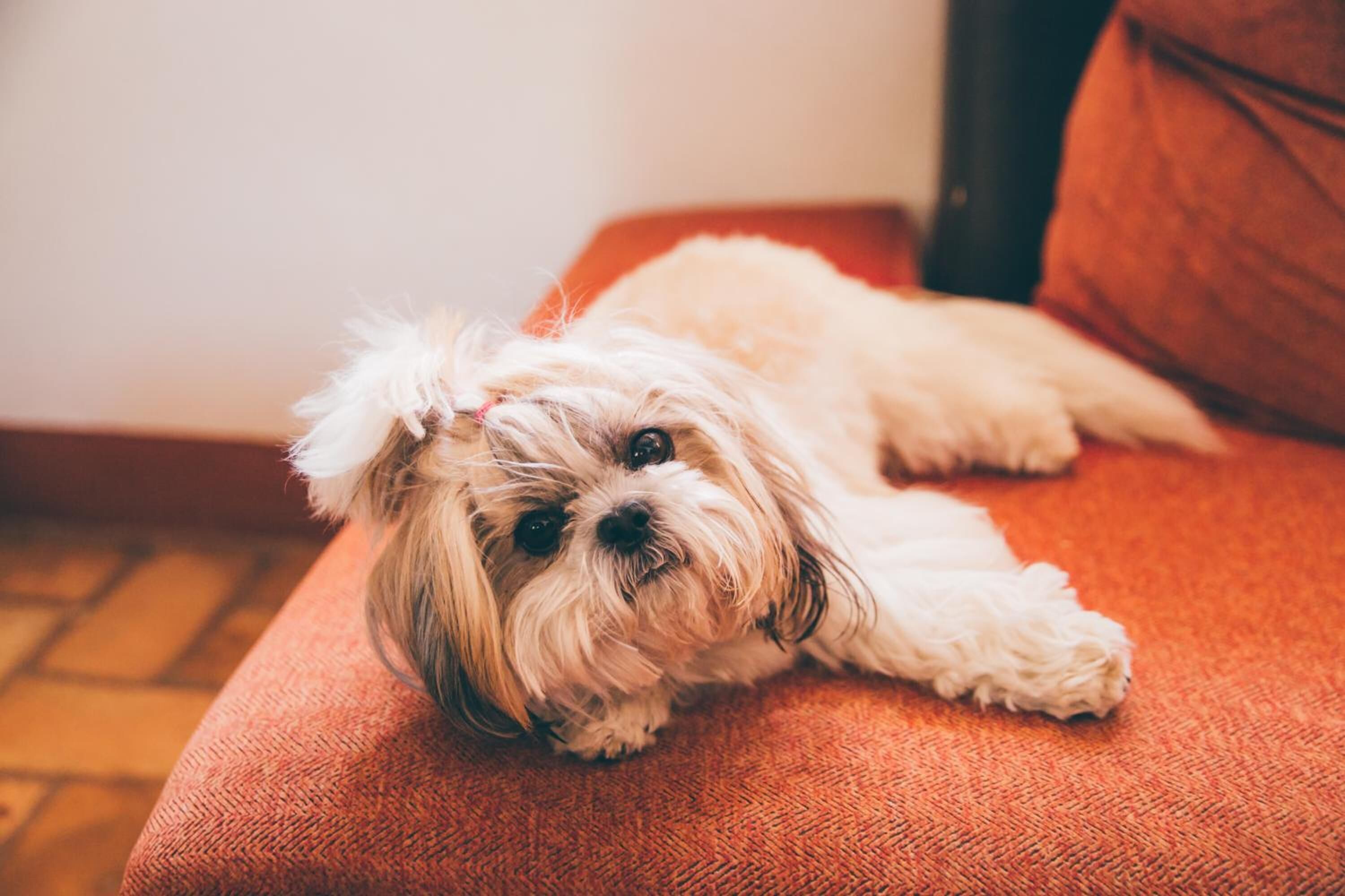 Photo - Molino La Nava