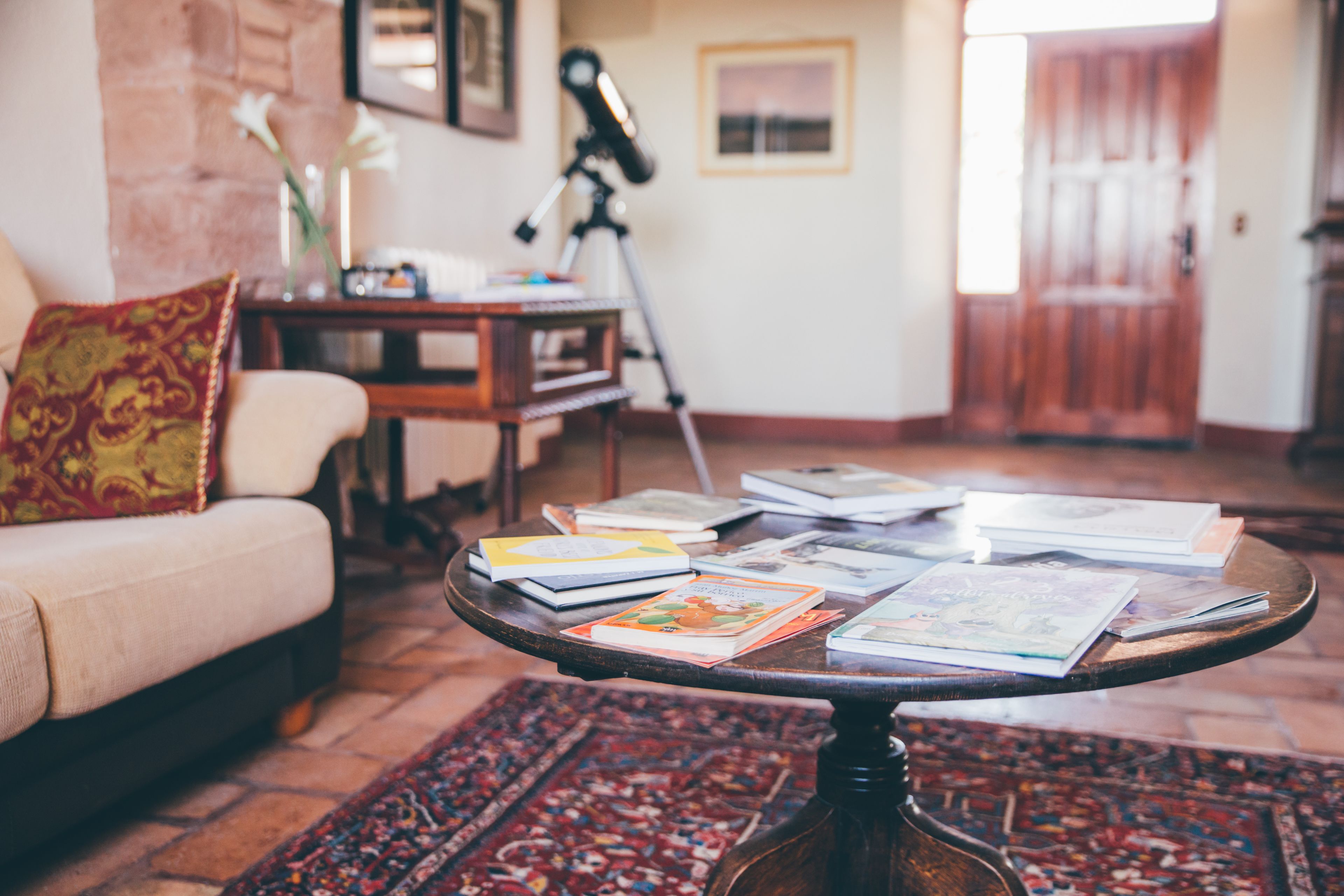 A cozy living room with a sofa, a coffee table with books, a tripod, and a patterned rug.