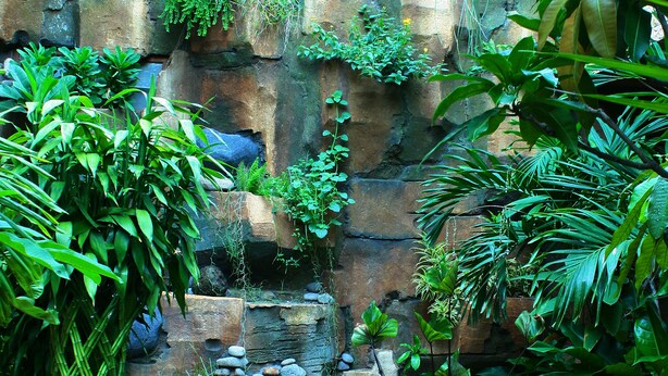 Un jardín con muro de piedra, un pequeño estanque y diversas plantas.