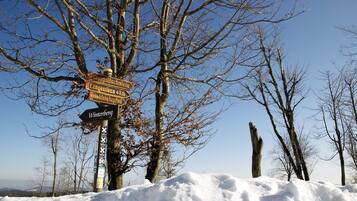 Ein Wegweiser mit mehreren Pfeilen, die zu verschiedenen Zielen zeigen, umgeben von Schnee und kahl stehenden Bäumen.