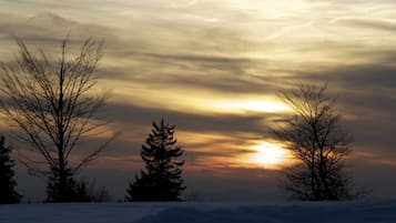 A snowy landscape with trees silhouetted against a sunset sky.