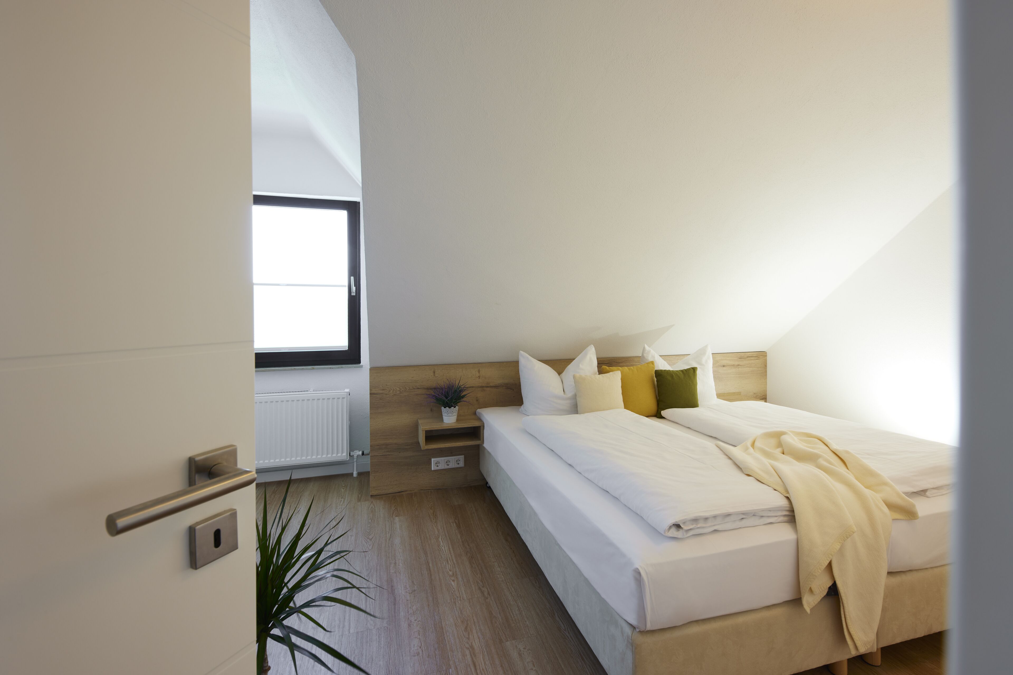 A modern bedroom with a large bed, bedside tables, a window, and a potted plant.