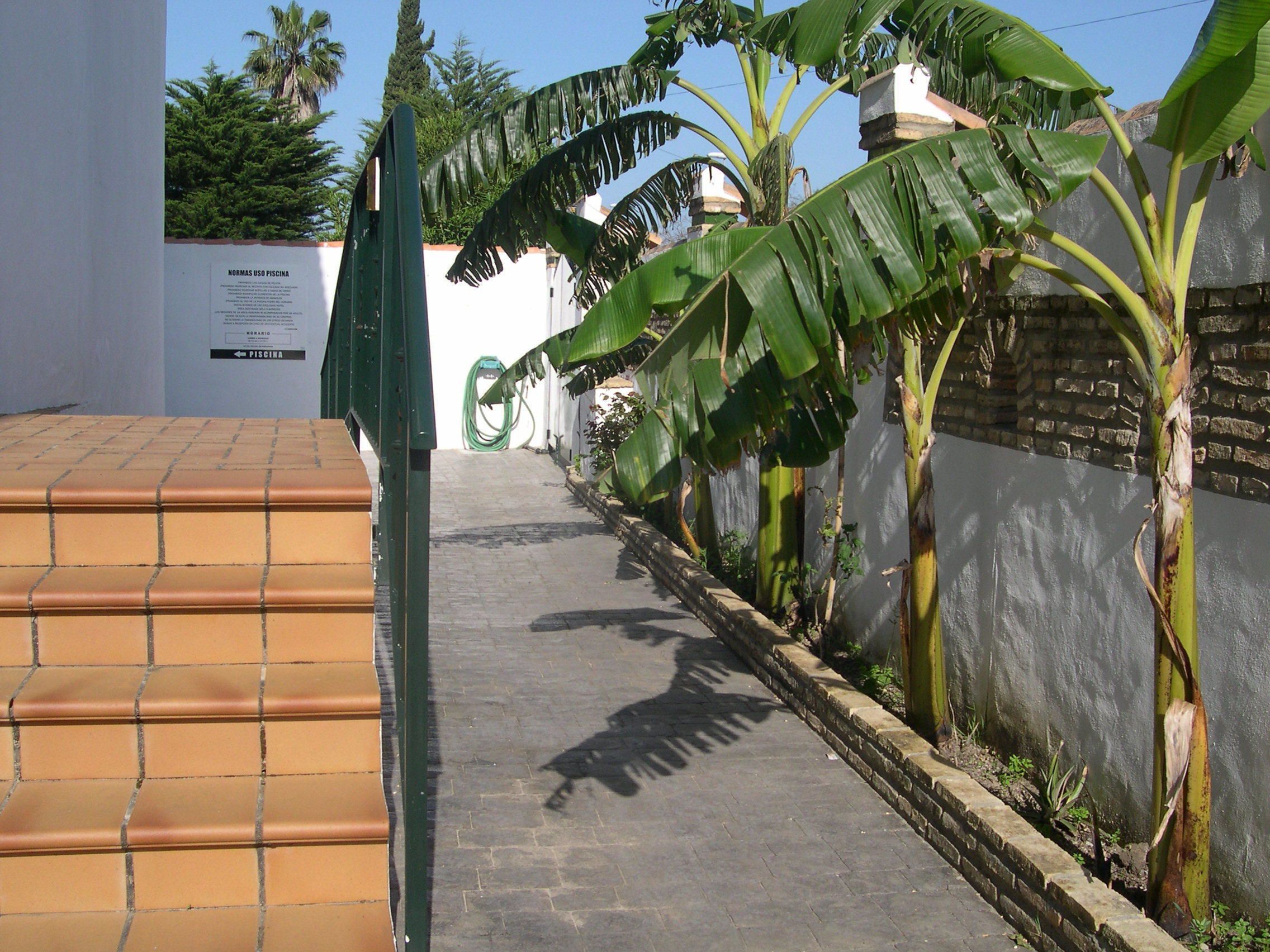 Foto - Hotel Cortijo Los Gallos