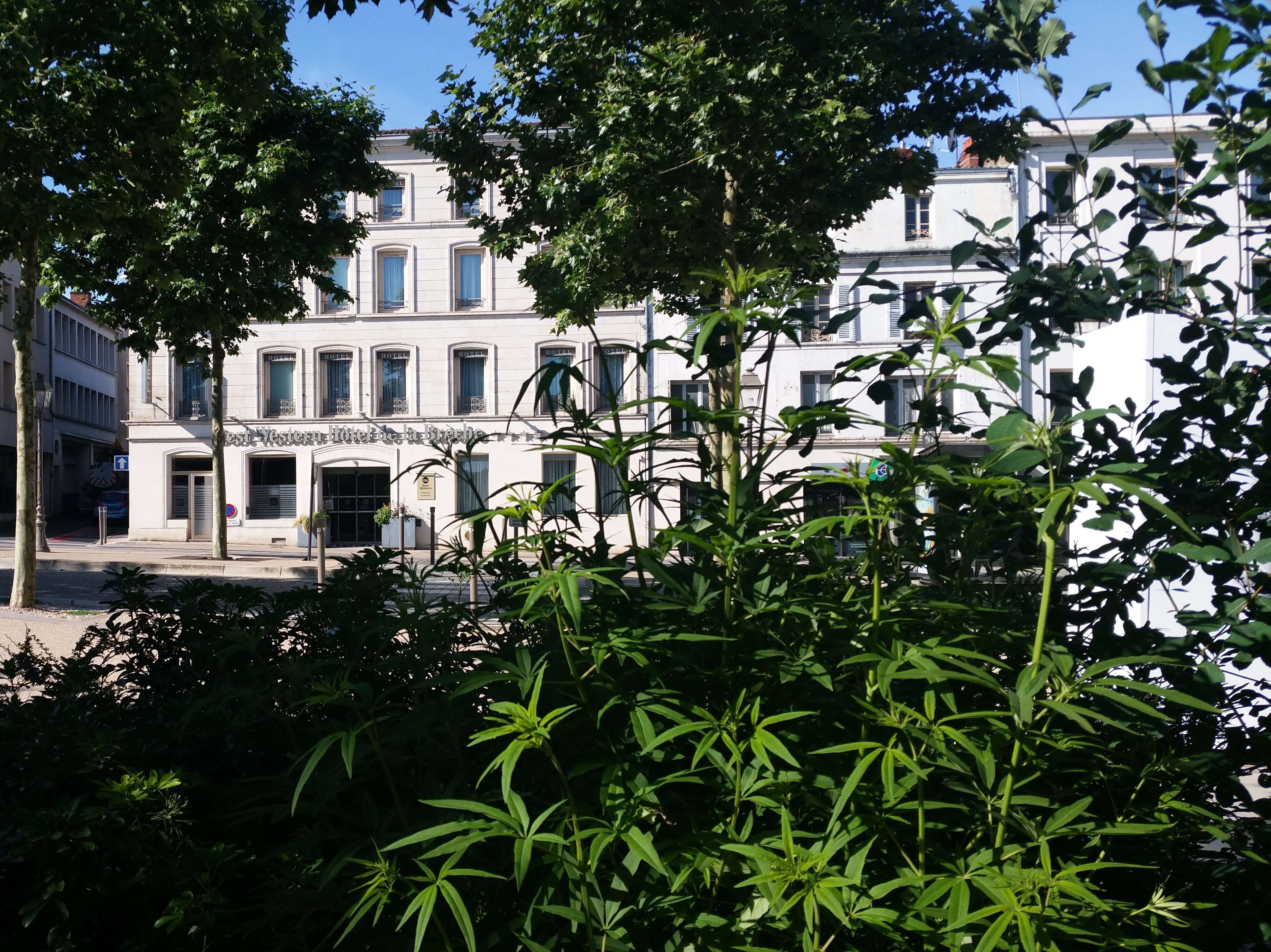 A hotel with multiple windows and a sign indicating it is a hotel.