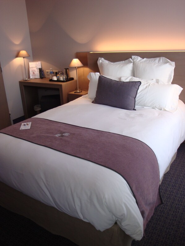 Comfort Room, 1 Double Bed, Non Smoking