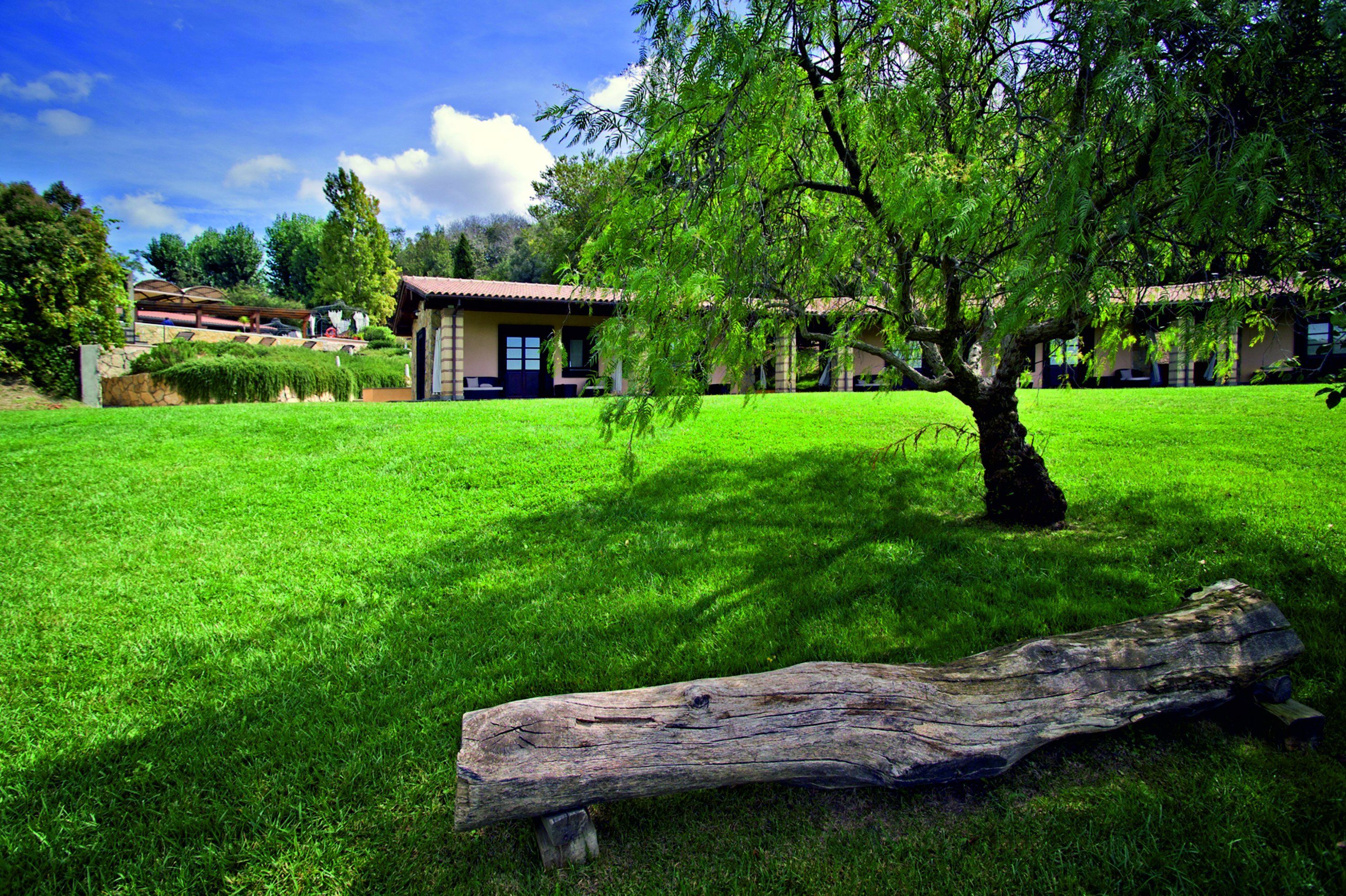Une zone herbeuse avec un grand arbre et une bûche, un bâtiment avec un toit en tuiles et, au fond, un mur de pierre.