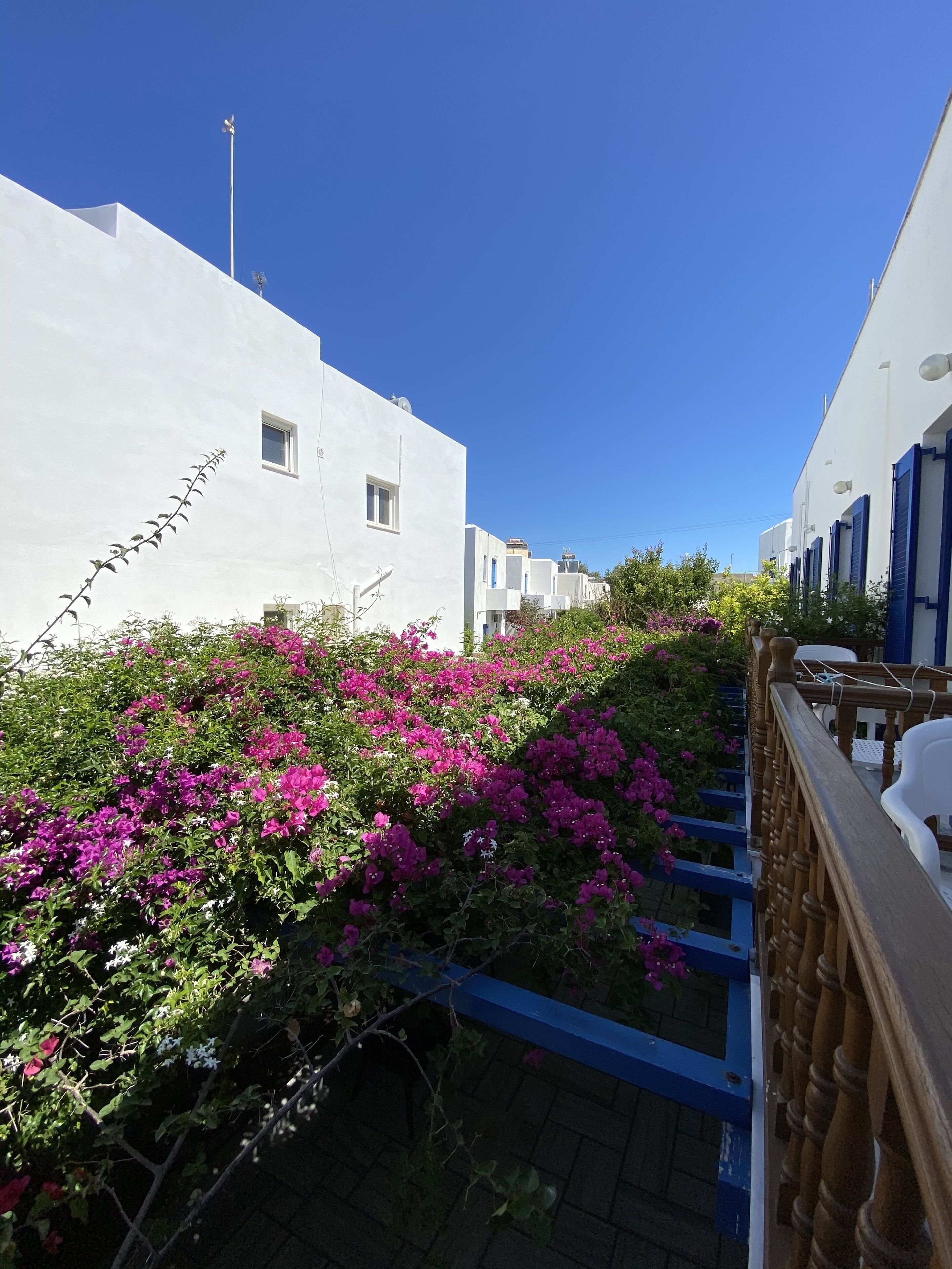 Photo - Helliniko Hotel