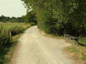 A gravel path leading to a bench. - Hotel Haase (Laatzen)