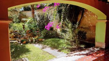 A courtyard with potted plants and a tiled pathway.