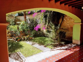 A courtyard with potted plants and a tiled pathway.