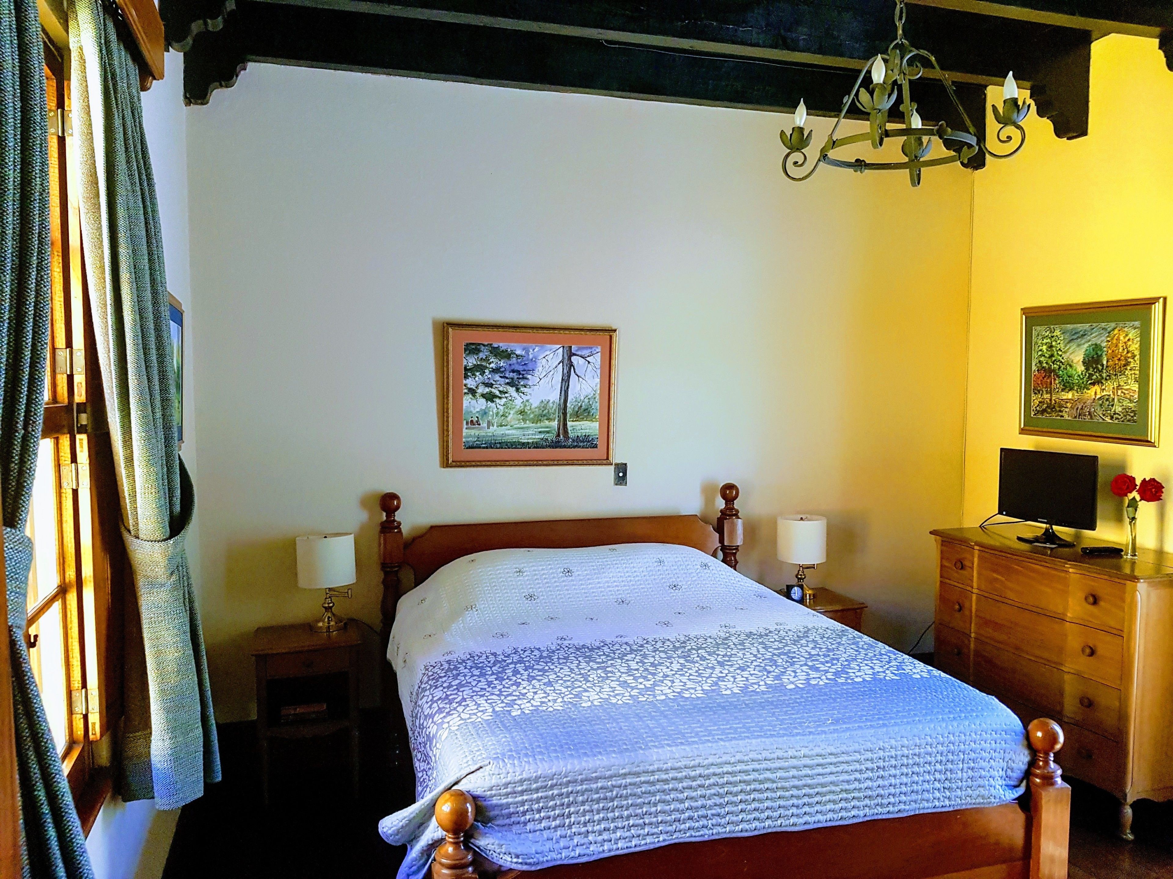 standard room, 1 queen bed (patio view) | view from room