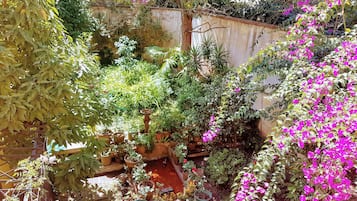 Standard Room, 1 Queen Bed (Patio View) | Terrace/patio