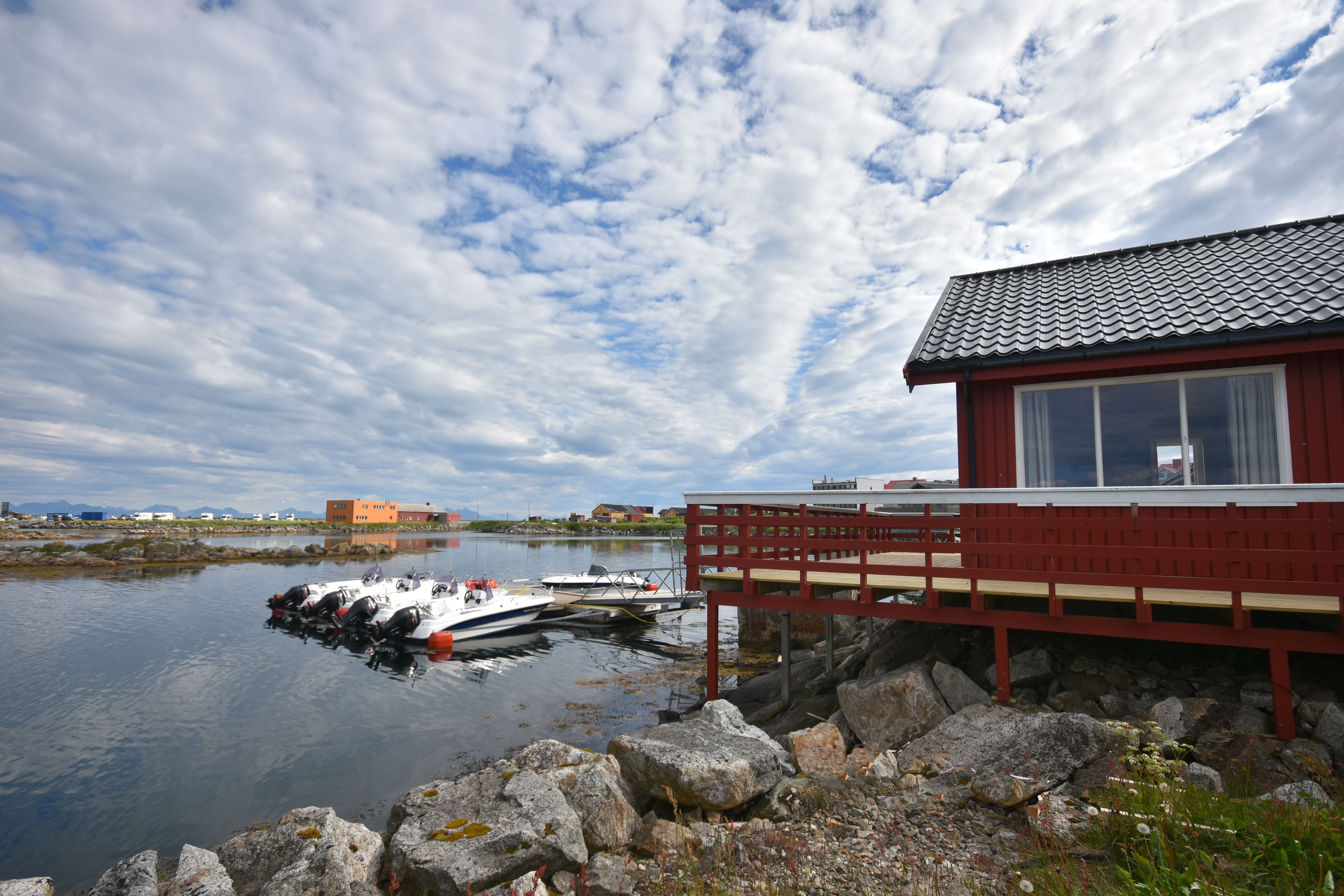 テラス / パティオ