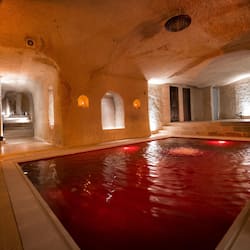 Interior Pool Suite | 1 quarto, roupas de cama de algodão egípcio, roupas de cama premium