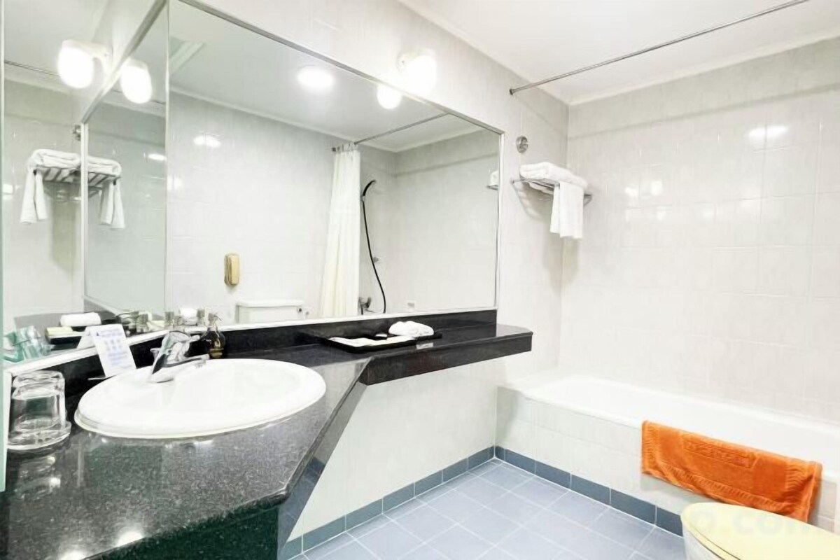 Combined shower/bathtub, rainfall showerhead, hair dryer, slippers